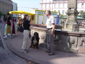 Mensch-Hund-Team-Prüfung