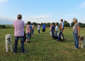 Training in der Gruppe