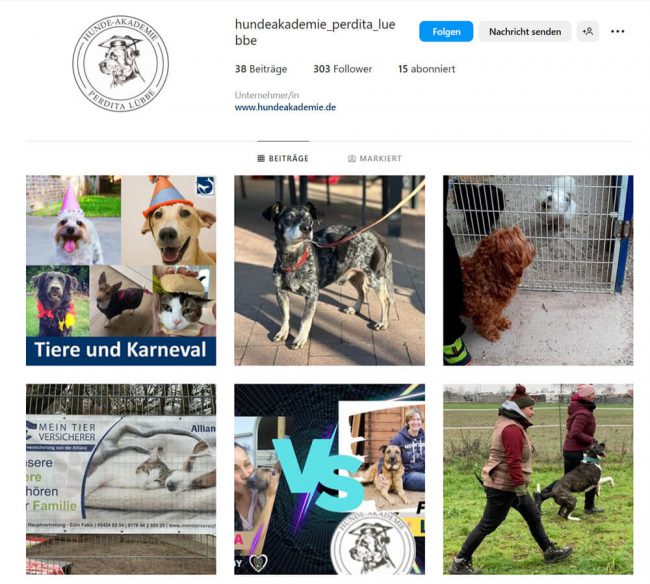 Hunde-Akademie auf Instagram